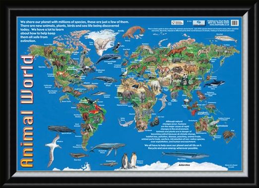 Framed Framed Animals of the World - Animal World Map